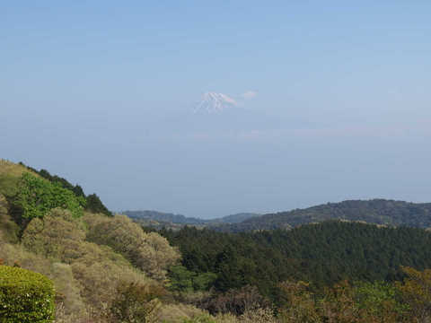 resize1507.jpg