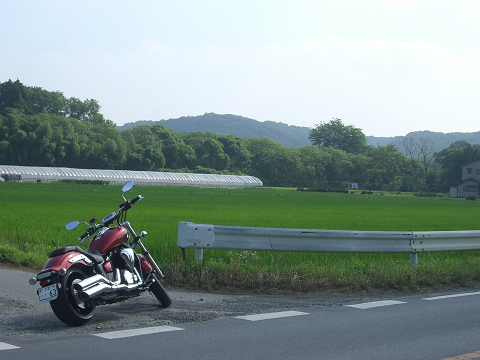resize0019.jpg
