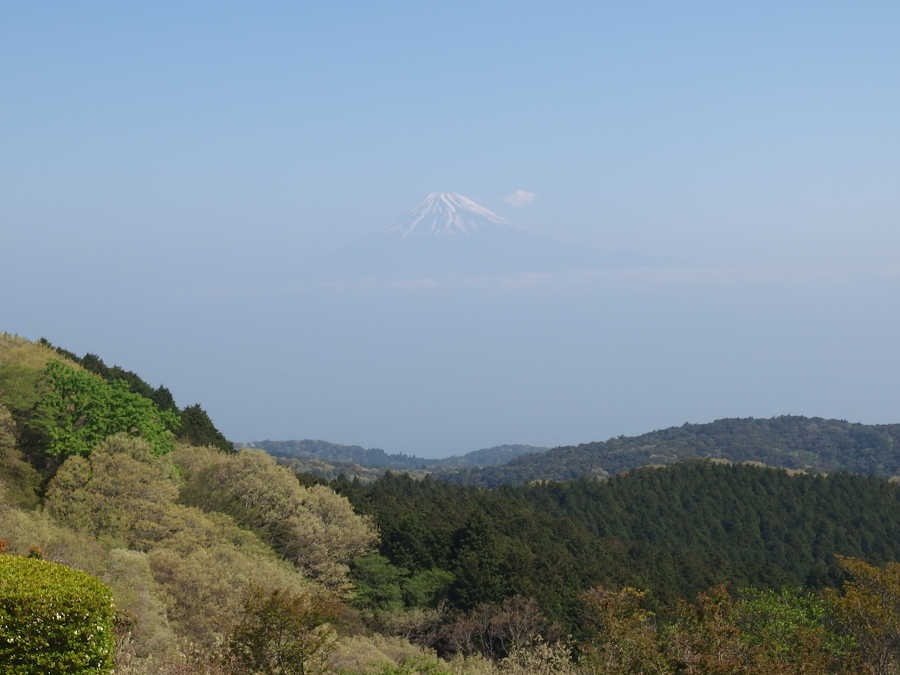 http://www.ysp-kawaguchi.com/blog/images/resize1507.jpg