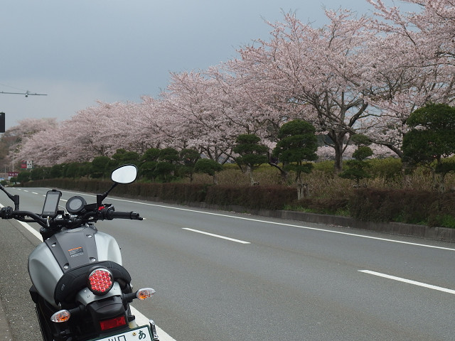 http://www.ysp-kawaguchi.com/blog/images/resize2091.jpg