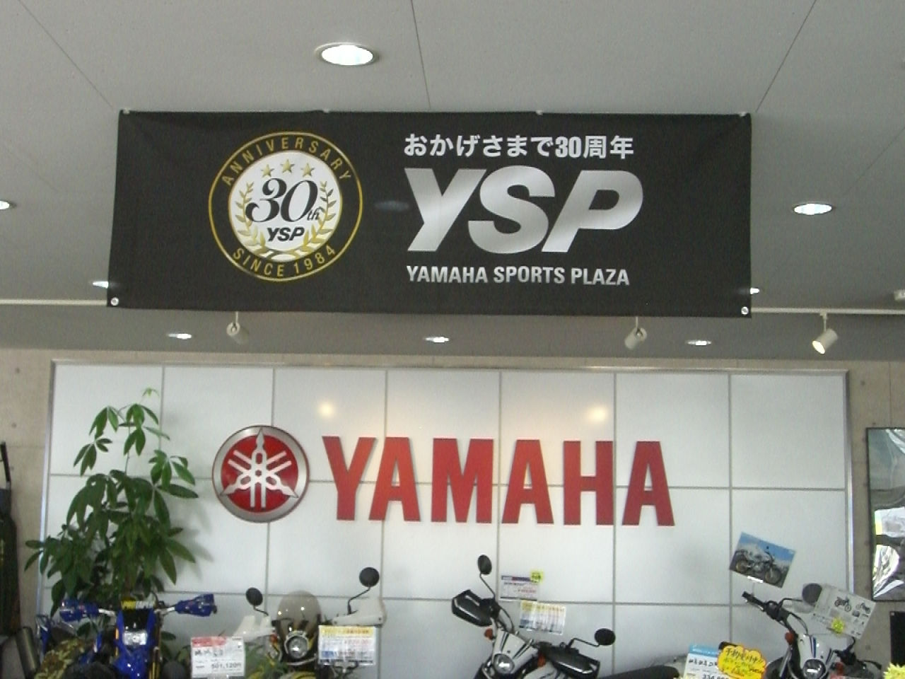 http://www.ysp-kawaguchi.com/blog/images/resize825.jpg